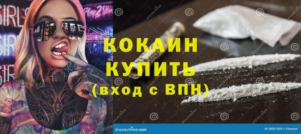 дмт Лагань
