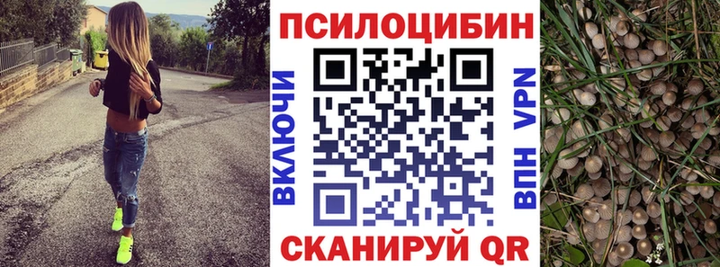 Галлюциногенные грибы GOLDEN TEACHER  Нея 